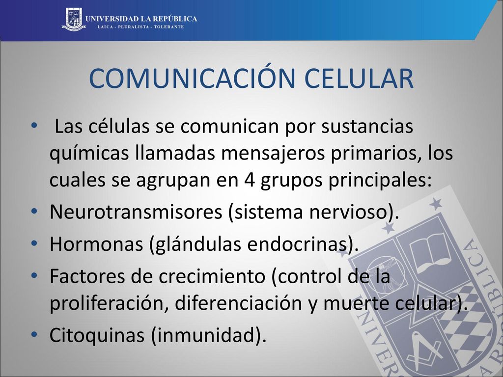 COMUNICACIÓN CELULAR Las células se comunican por sustancias químicas llamadas mensajeros primarios, los cuales se agrupan en 4 grupos principales: