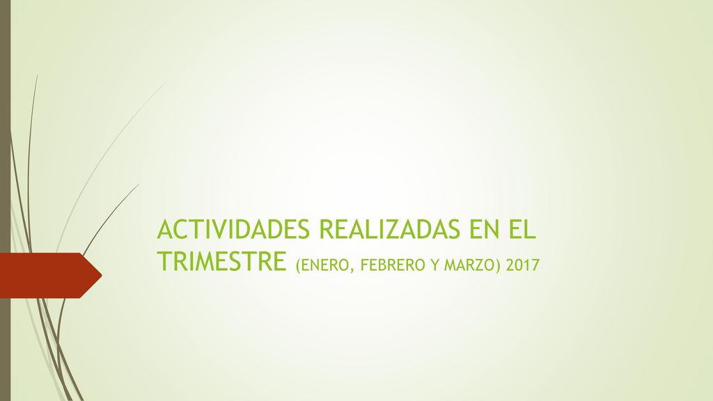 ACTIVIDADES REALIZADAS EN EL TRIMESTRE (ENERO, FEBRERO Y MARZO) 2017