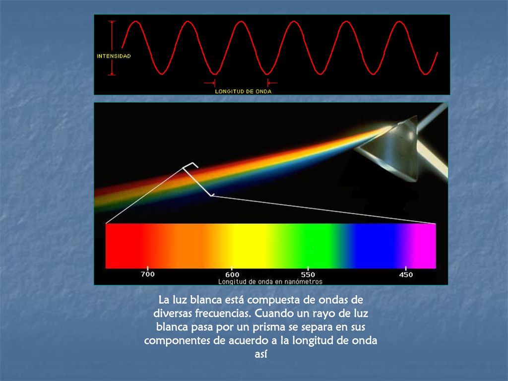 La luz blanca está compuesta de ondas de diversas frecuencias