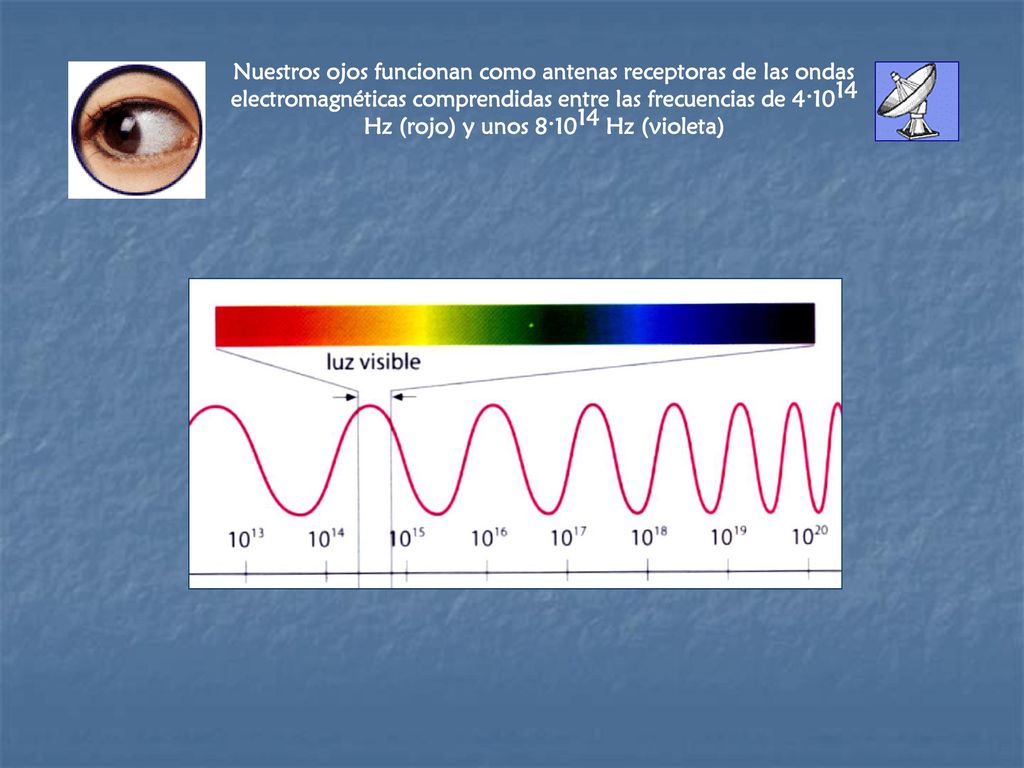 Nuestros ojos funcionan como antenas receptoras de las ondas electromagnéticas comprendidas entre las frecuencias de Hz (rojo) y unos Hz (violeta)