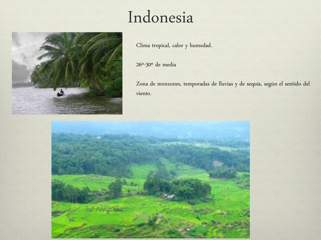 Indonesia Clima tropical, calor y humedad. 26º-30º de media