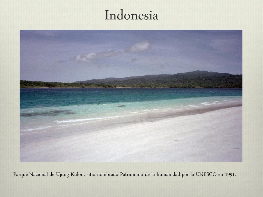 Indonesia Parque Nacional de Ujung Kulon, sitio nombrado Patrimonio de la humanidad por la UNESCO en