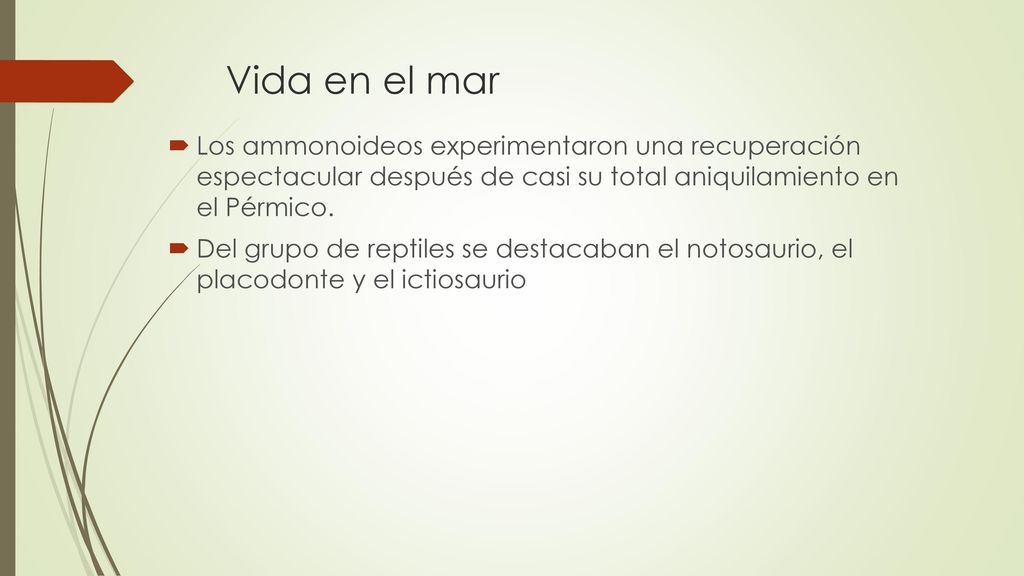 Vida en el mar Los ammonoideos experimentaron una recuperación espectacular después de casi su total aniquilamiento en el Pérmico.