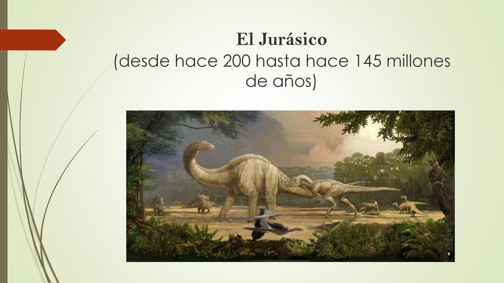 El Jurásico (desde hace 200 hasta hace 145 millones de años)
