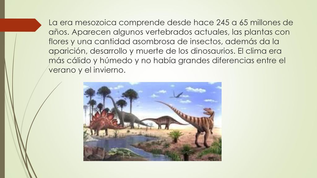 La era mesozoica comprende desde hace 245 a 65 millones de años