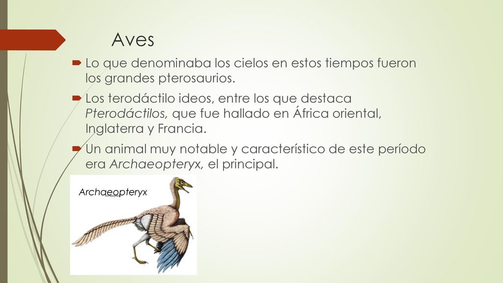 Aves Lo que denominaba los cielos en estos tiempos fueron los grandes pterosaurios.