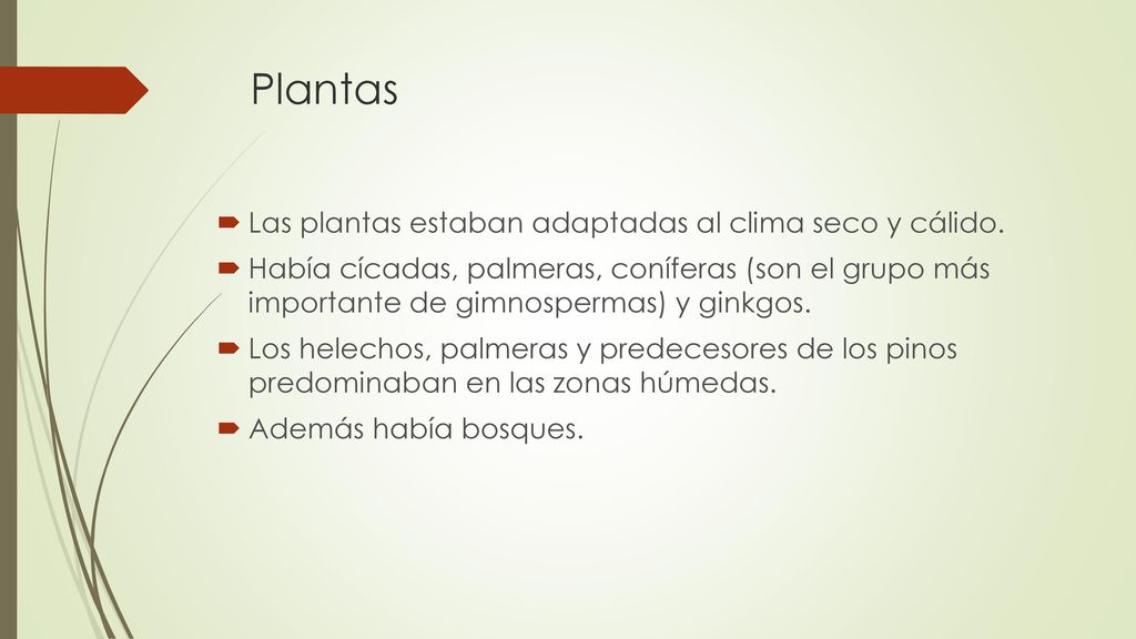 Plantas Las plantas estaban adaptadas al clima seco y cálido.