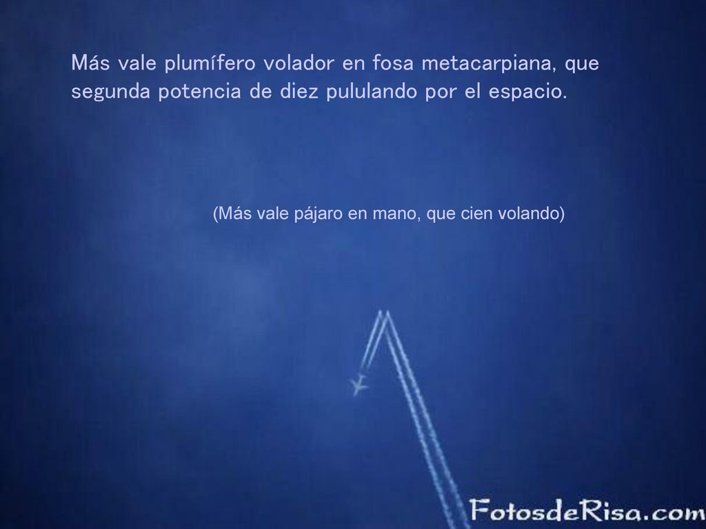 Más vale plumífero volador en fosa metacarpiana, que segunda potencia de diez pululando por el espacio.