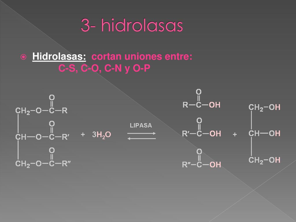 3- hidrolasas Hidrolasas: cortan uniones entre: C-S, C-O, C-N y O-P