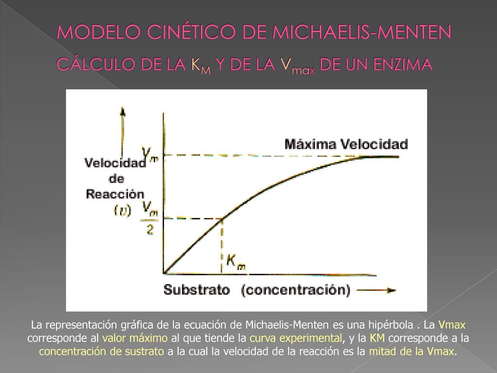 MODELO CINÉTICO DE MICHAELIS-MENTEN CÁLCULO DE LA KM Y DE LA Vmax DE UN ENZIMA