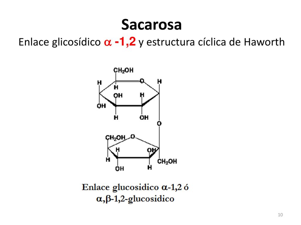 Sacarosa Enlace glicosídico a -1,2 y estructura cíclica de Haworth