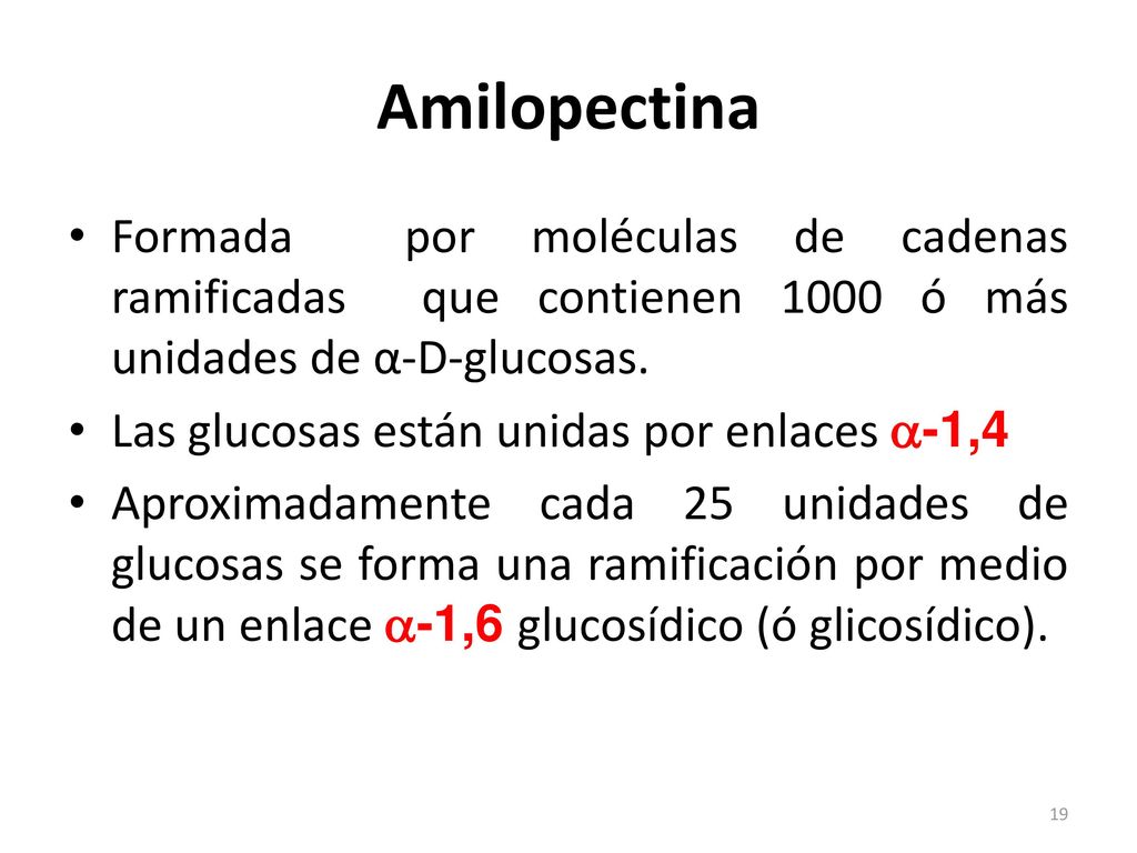 Amilopectina Formada por moléculas de cadenas ramificadas que contienen 1000 ó más unidades de α-D-glucosas.