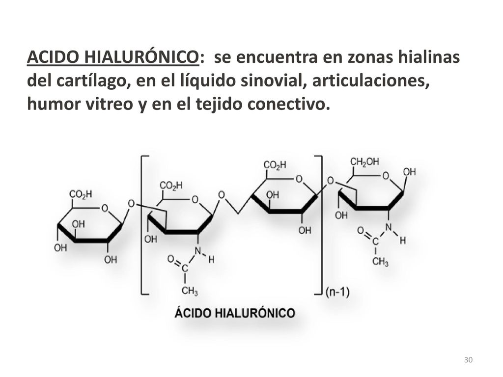 ACIDO HIALURÓNICO: se encuentra en zonas hialinas del cartílago, en el líquido sinovial, articulaciones, humor vitreo y en el tejido conectivo.