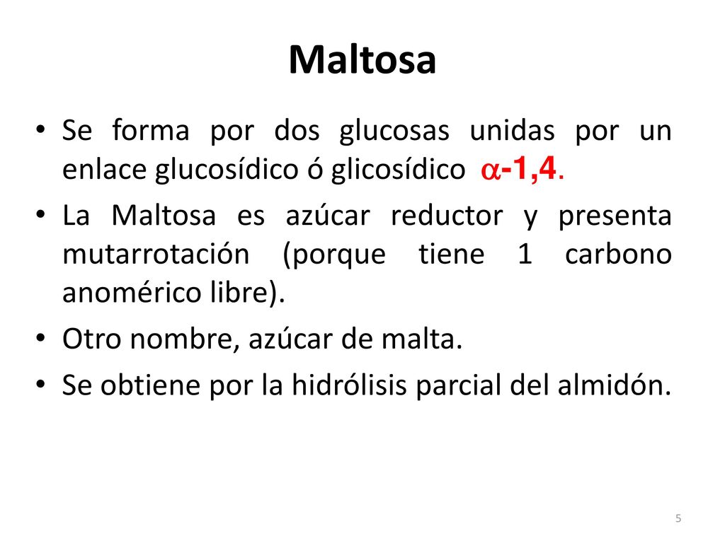 Maltosa Se forma por dos glucosas unidas por un enlace glucosídico ó glicosídico a-1,4.