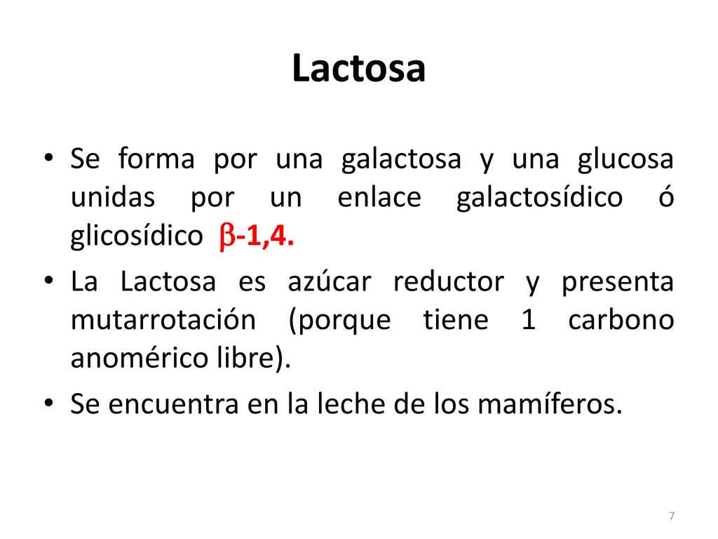 Lactosa Se forma por una galactosa y una glucosa unidas por un enlace galactosídico ó glicosídico -1,4.