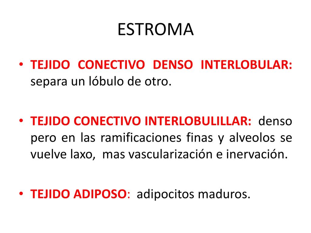 ESTROMA TEJIDO CONECTIVO DENSO INTERLOBULAR: separa un lóbulo de otro.