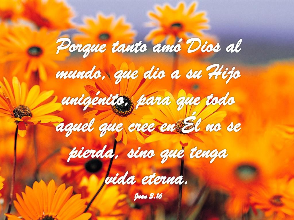 Porque tanto amó Dios al mundo, que dio a su Hijo unigénito, para que todo aquel que cree en Él no se pierda, sino que tenga vida eterna.