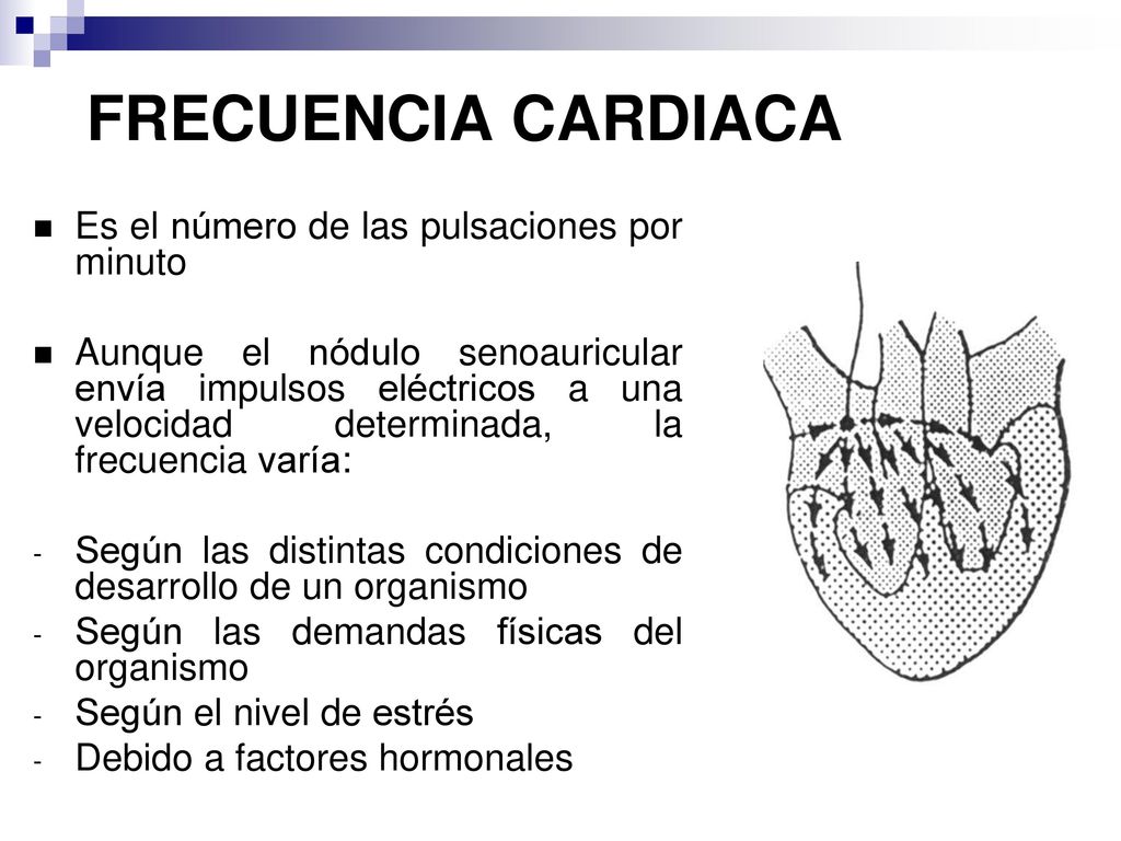 FRECUENCIA CARDIACA Es el número de las pulsaciones por minuto