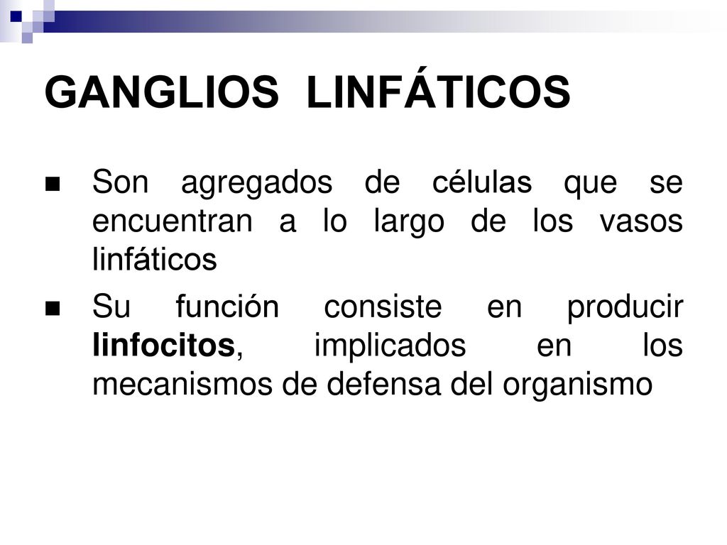 GANGLIOS LINFÁTICOS Son agregados de células que se encuentran a lo largo de los vasos linfáticos.