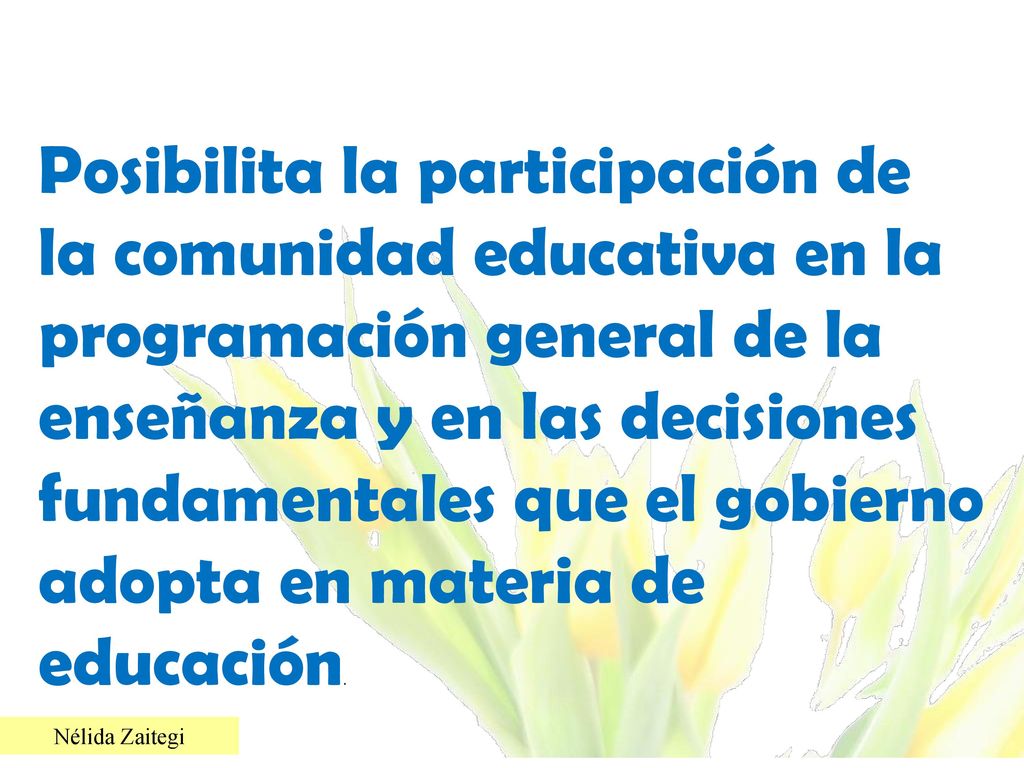 Posibilita la participación de la comunidad educativa en la programación general de la enseñanza y en las decisiones fundamentales que el gobierno adopta en materia de educación.