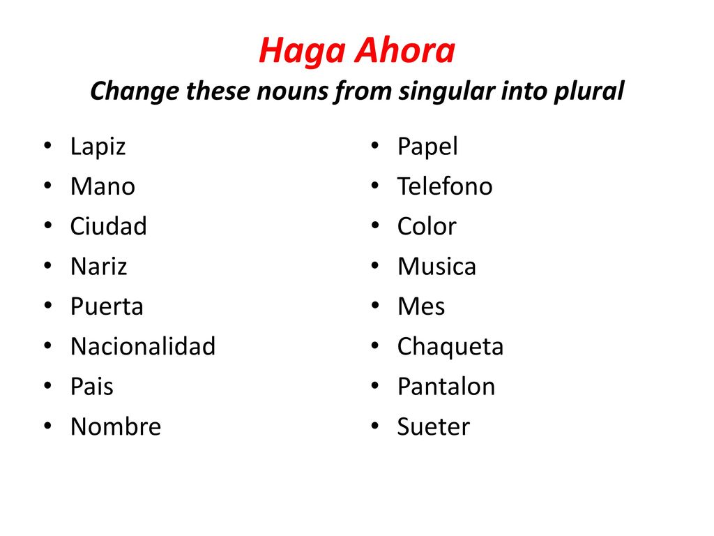 Haga Ahora Change these nouns from singular into plural