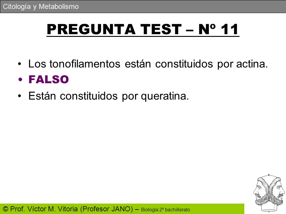 PREGUNTA TEST – Nº 11 Los tonofilamentos están constituidos por actina.