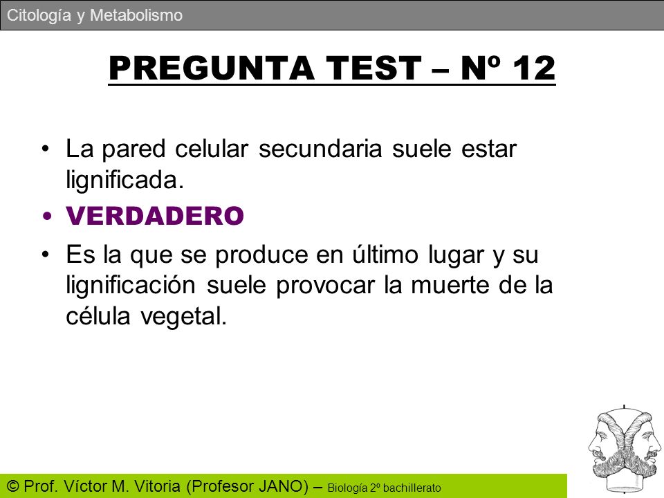 PREGUNTA TEST – Nº 12 La pared celular secundaria suele estar lignificada. VERDADERO.