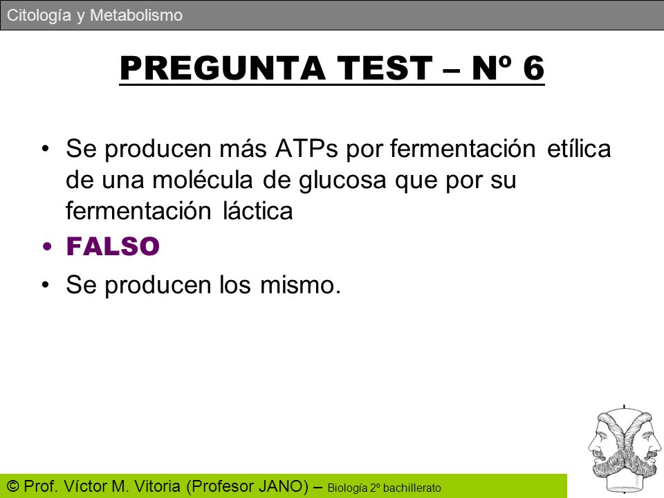 PREGUNTA TEST – Nº 6 Se producen más ATPs por fermentación etílica de una molécula de glucosa que por su fermentación láctica.