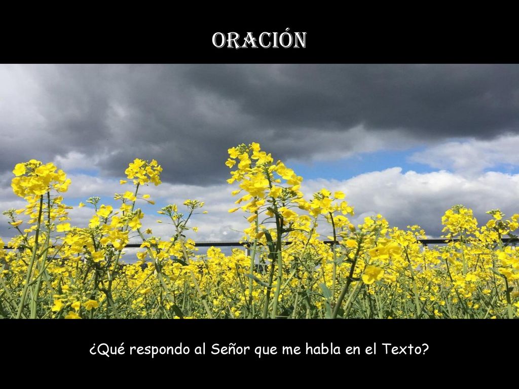 ¿Qué respondo al Señor que me habla en el Texto