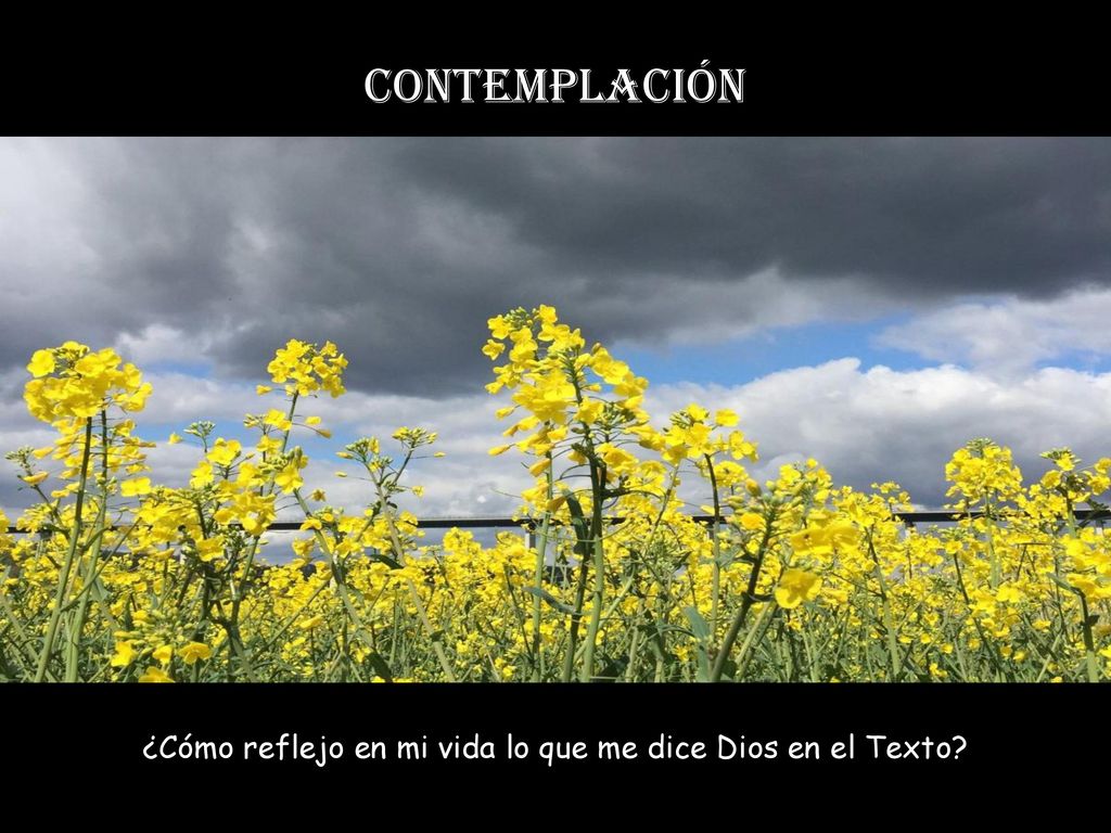 ¿Cómo reflejo en mi vida lo que me dice Dios en el Texto