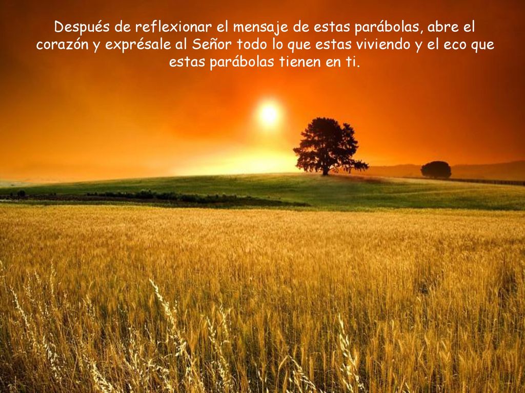 Después de reflexionar el mensaje de estas parábolas, abre el corazón y exprésale al Señor todo lo que estas viviendo y el eco que estas parábolas tienen en ti.