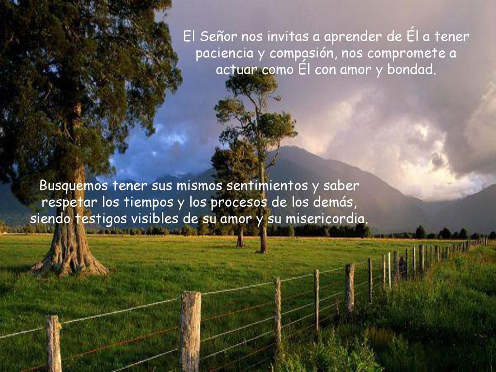 El Señor nos invitas a aprender de Él a tener paciencia y compasión, nos compromete a actuar como Él con amor y bondad.