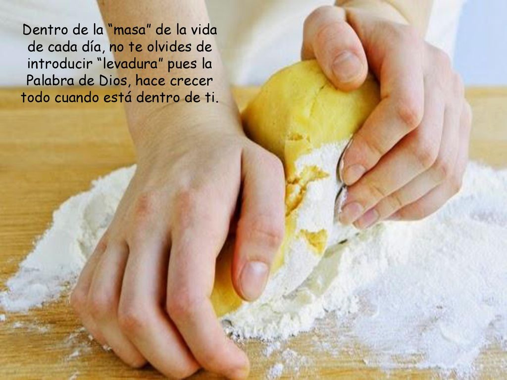 Dentro de la masa de la vida de cada día, no te olvides de introducir levadura pues la Palabra de Dios, hace crecer todo cuando está dentro de ti.