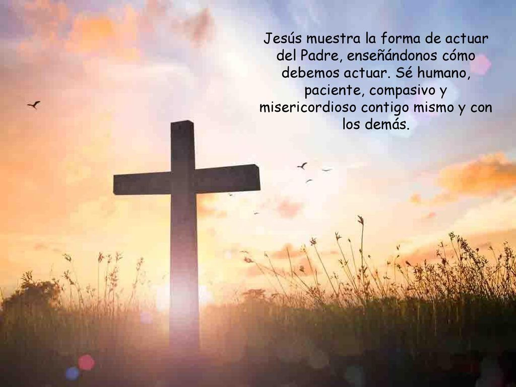 Jesús muestra la forma de actuar del Padre, enseñándonos cómo debemos actuar.