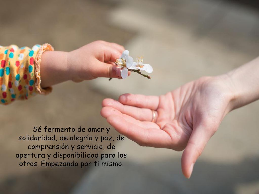 Sé fermento de amor y solidaridad, de alegría y paz, de comprensión y servicio, de apertura y disponibilidad para los otros.