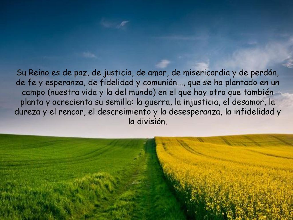 Su Reino es de paz, de justicia, de amor, de misericordia y de perdón, de fe y esperanza, de fidelidad y comunión..., que se ha plantado en un campo (nuestra vida y la del mundo) en el que hay otro que también planta y acrecienta su semilla: la guerra, la injusticia, el desamor, la dureza y el rencor, el descreimiento y la desesperanza, la infidelidad y la división.