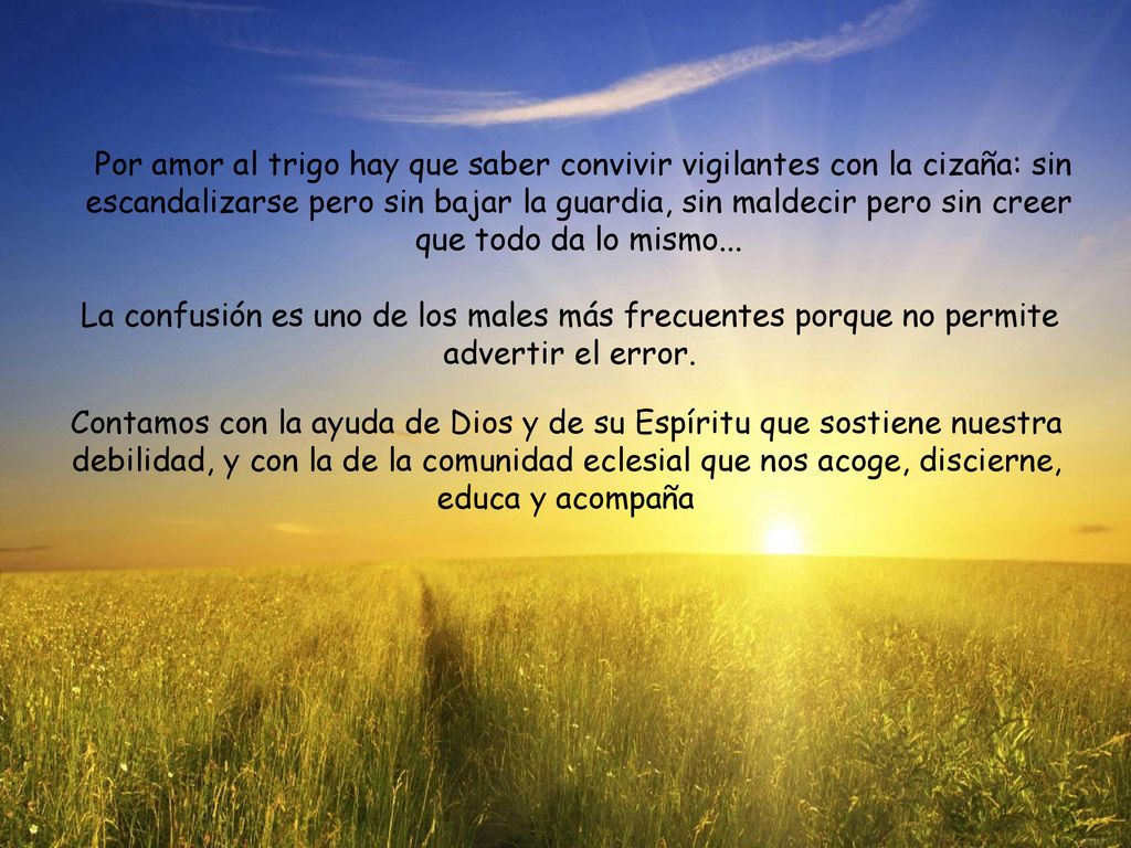 Por amor al trigo hay que saber convivir vigilantes con la cizaña: sin escandalizarse pero sin bajar la guardia, sin maldecir pero sin creer que todo da lo mismo...
