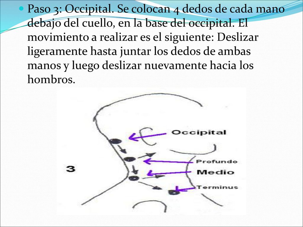 Paso 3: Occipital. Se colocan 4 dedos de cada mano debajo del cuello, en la base del occipital.