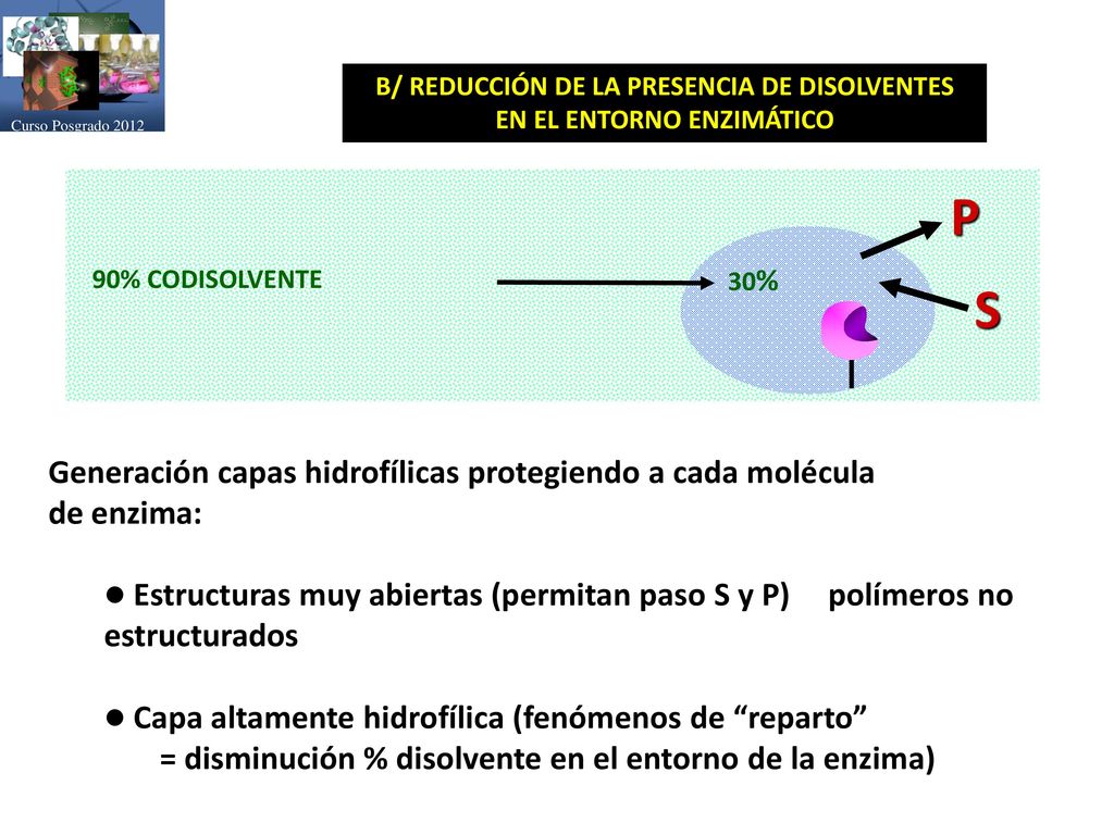 B/ REDUCCIÓN DE LA PRESENCIA DE DISOLVENTES EN EL ENTORNO ENZIMÁTICO