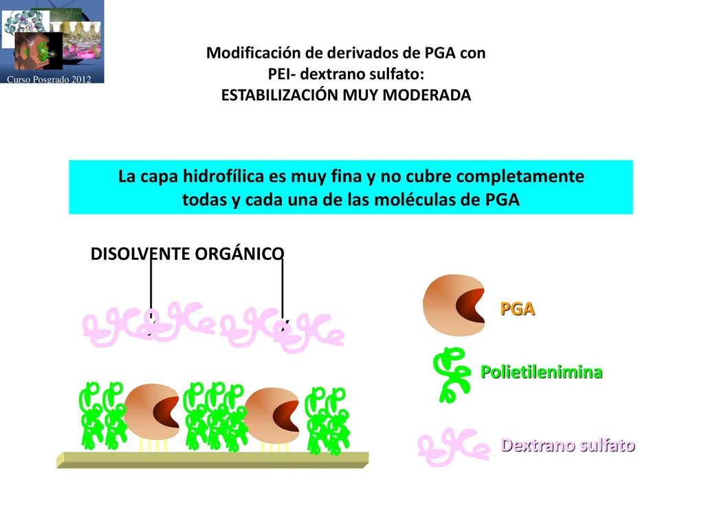 La capa hidrofílica es muy fina y no cubre completamente