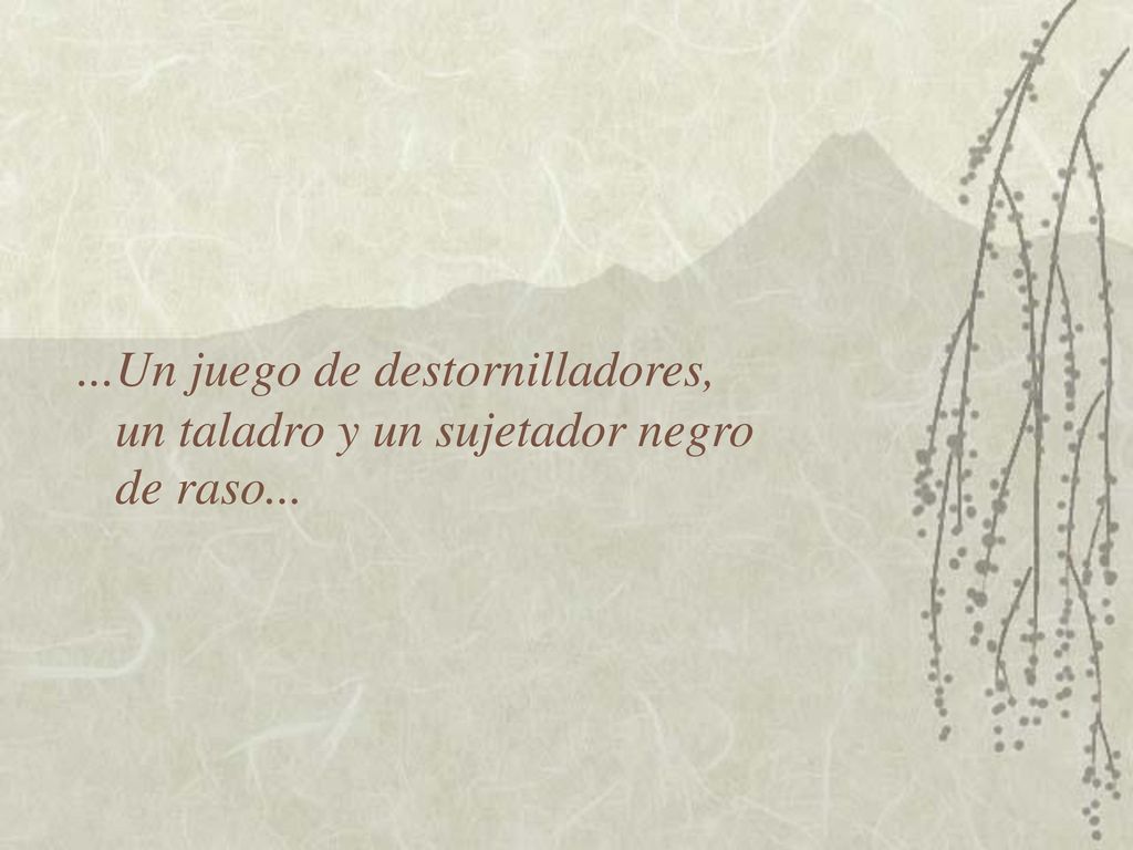 ...Un juego de destornilladores, un taladro y un sujetador negro de raso...
