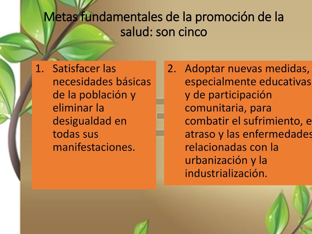 Metas fundamentales de la promoción de la salud: son cinco