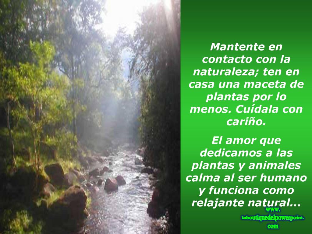 Mantente en contacto con la naturaleza; ten en casa una maceta de plantas por lo menos. Cuídala con cariño.