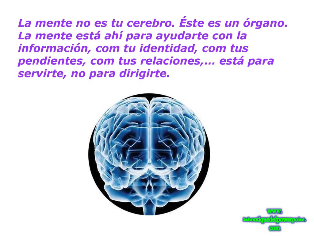 La mente no es tu cerebro. Éste es un órgano