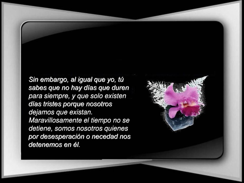 Sin embargo, al igual que yo, tú sabes que no hay días que duren para siempre, y que solo existen días tristes porque nosotros dejamos que existan.