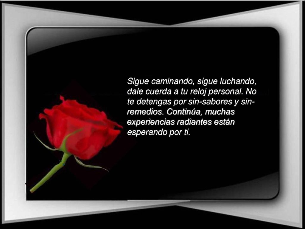 Sigue caminando, sigue luchando, dale cuerda a tu reloj personal