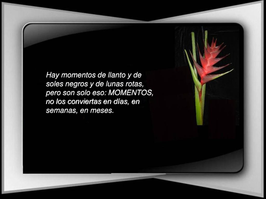 Hay momentos de llanto y de soles negros y de lunas rotas, pero son solo eso: MOMENTOS, no los conviertas en días, en semanas, en meses.