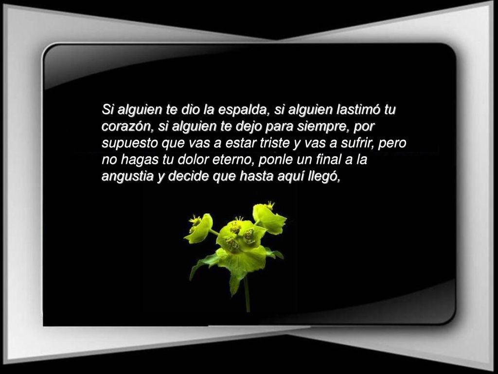 Si alguien te dio la espalda, si alguien lastimó tu corazón, si alguien te dejo para siempre, por supuesto que vas a estar triste y vas a sufrir, pero no hagas tu dolor eterno, ponle un final a la angustia y decide que hasta aquí llegó,