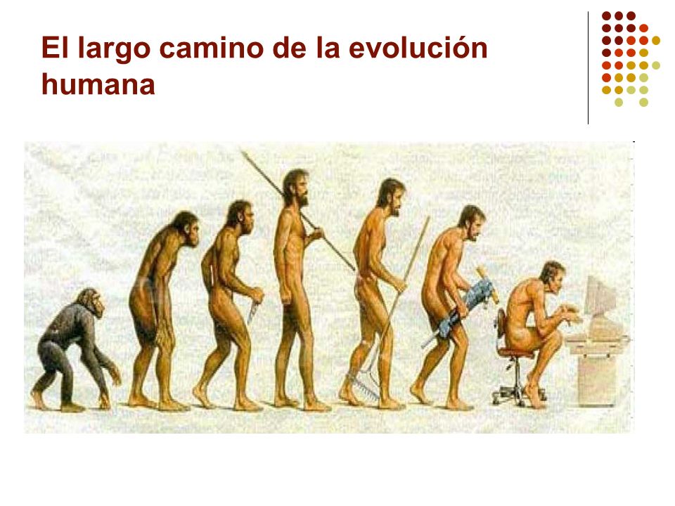 El largo camino de la evolución humana