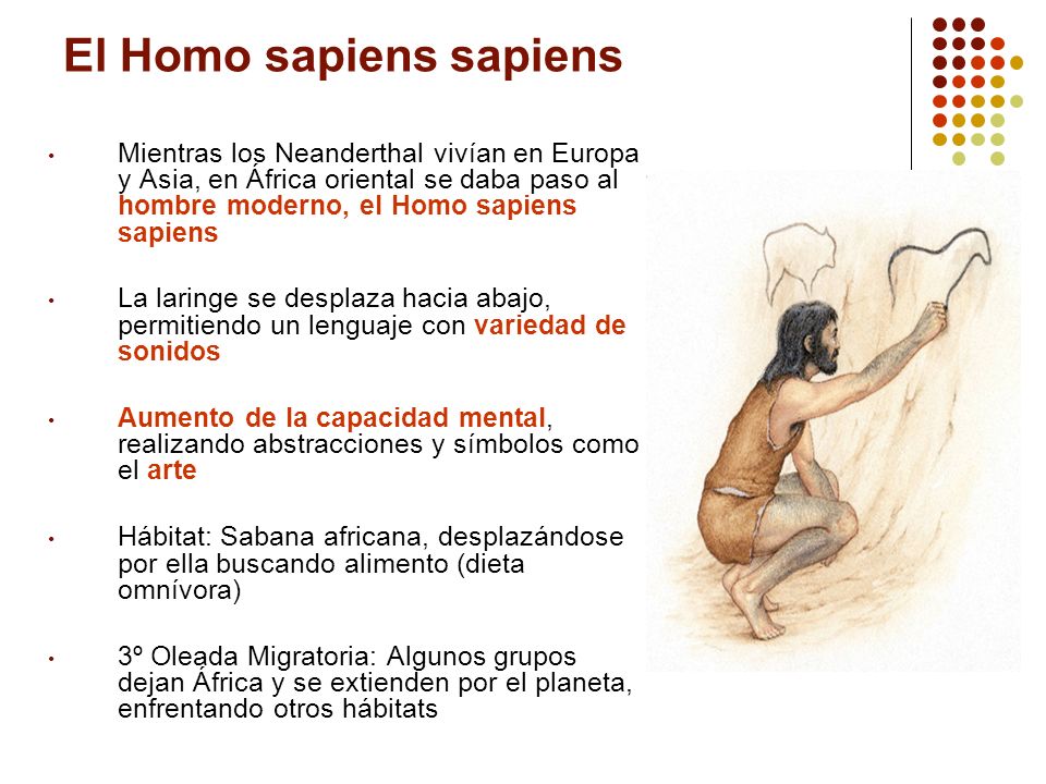 El Homo sapiens sapiens
